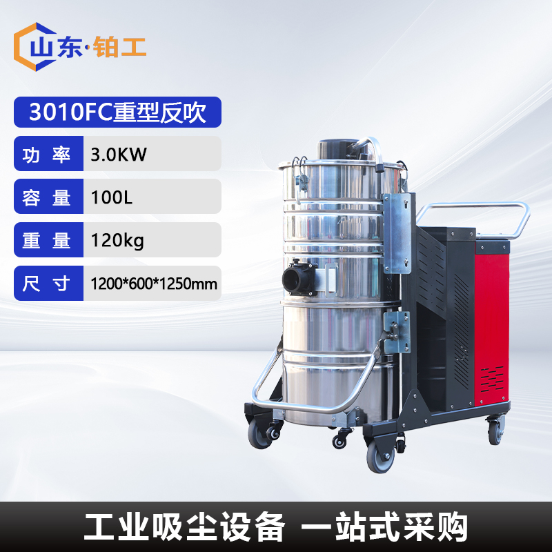 3010FC重型反吹